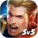 王者荣耀国际版V1.41.2.4 安卓版