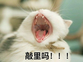 敲里吗是什么意思 敲里吗表情包分享1