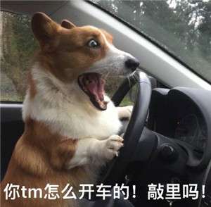 敲里吗是什么意思 敲里吗表情包分享2