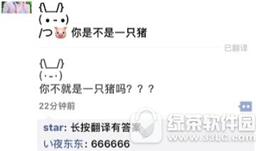 朋友圈你是不是一只猪翻译什么梗 你是不是一只猪的朋友圈翻译有惊喜1